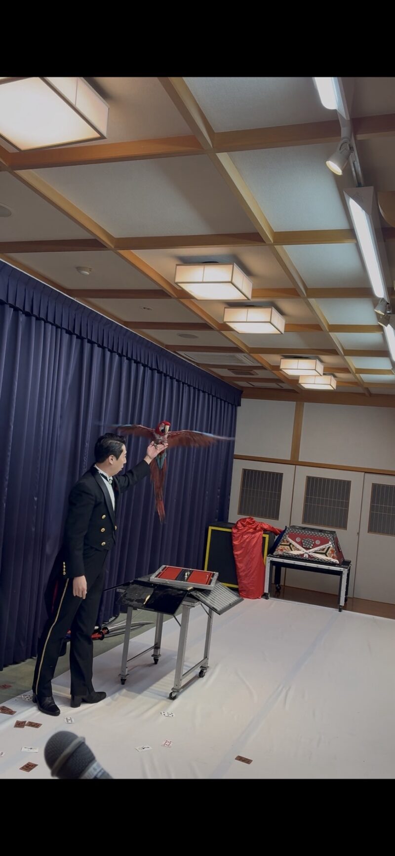 鳩出しマジック